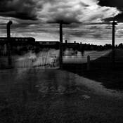 The_ghosts_of_birkenau_no_2