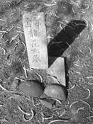 Asian_cemetery