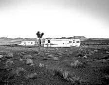 Desert_living