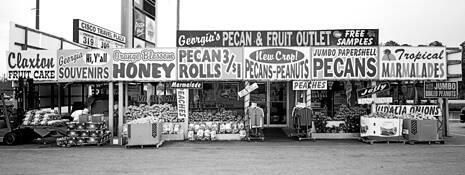 Pecan___fruit
