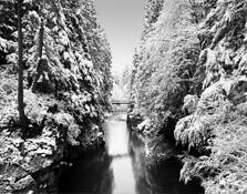 Capilano_winter
