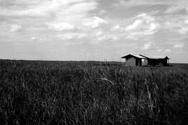 Tim_s_everglades_s_camp