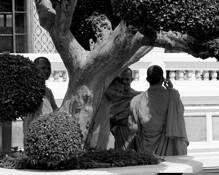 Monks