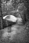 Untitled_1