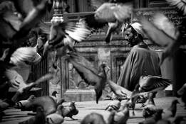 Untitled_2