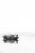 Untitled_5