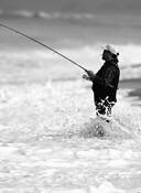 Here_fishy_fishy
