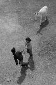 Girls_from_deir_ezzor