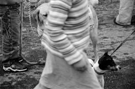 Waldboro_pet_parade