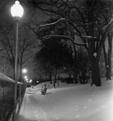 Winter_night_at_fort_defiance_park