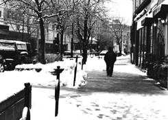 Late_afternoon