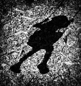 At_the_playground