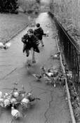 Waterlow_park