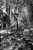 Stairs_at_montmartre
