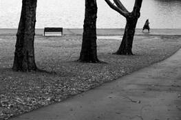 Untitled_01