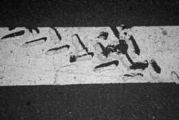 Tracks