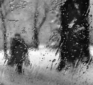 Marche_d_hiver
