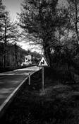 The_traffic_sign