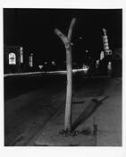 Neon_noir_series