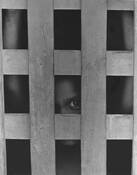 Curiosity