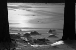 Winterscape