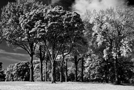 Untitled_6