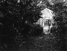 Greenhouse