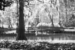 Edisto_gardens