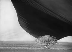 Sossusvlei_dune_2