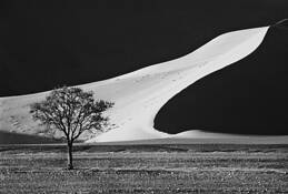 Sossusvlei_sand_dune_1