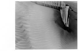 Dune_and_fence