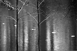Pond_rhythm