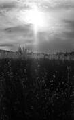 Gabicce_mare