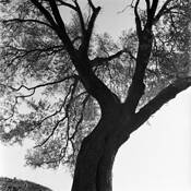 Untitled_2