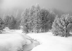 Snow_and_fog