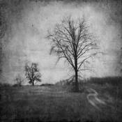 Into_the_past