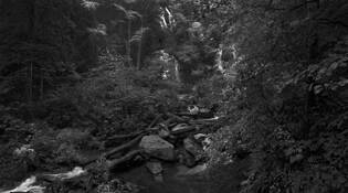 Anna_ruby_falls_ga