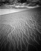 Dune_study