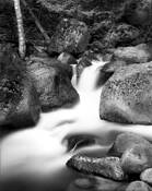 Nickel_creek
