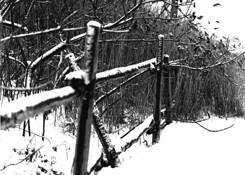 Fence