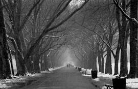 Snow_on_the_mall
