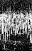 Untitled_1