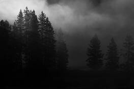 First_light