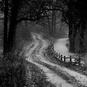 Paths