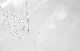 Zen_snow