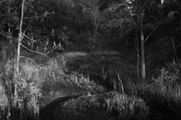Keibel_road_-_august_morning