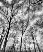Untitled_4