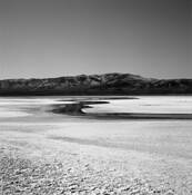 Salt_flat_swamp
