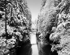 Capilano_winter