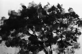 Wet_tree